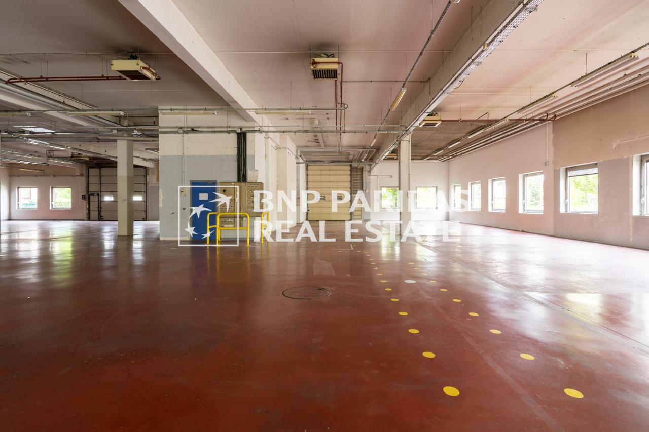 Local d'activité Antony 2935m² Location local d'activité Antony Hauts-de-Seine OLACT2002944 8